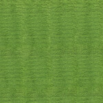 2503 - Emerald