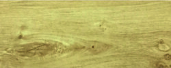 LIGHT TEAK - 8015
