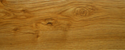 MAPLE - 8004